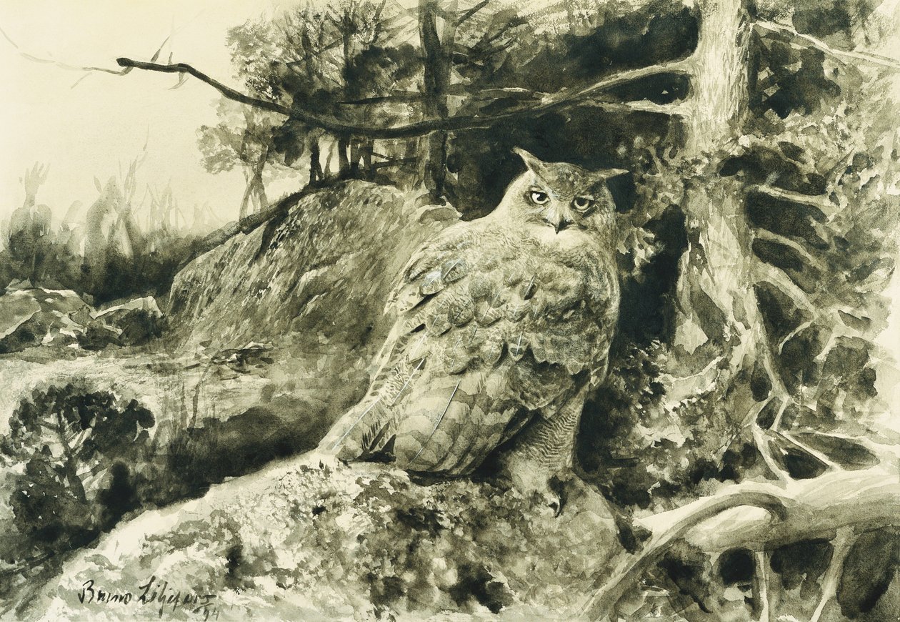 Grand-duc (Bubo Bubo) - Bruno Andreas Liljefors