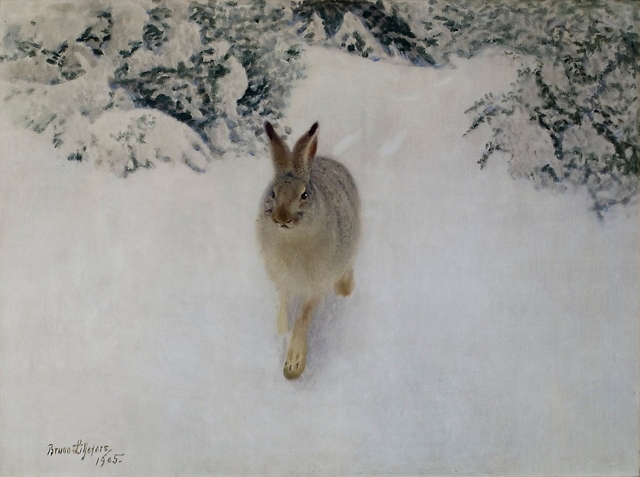 Lièvre en hiver - Bruno Andreas Liljefors