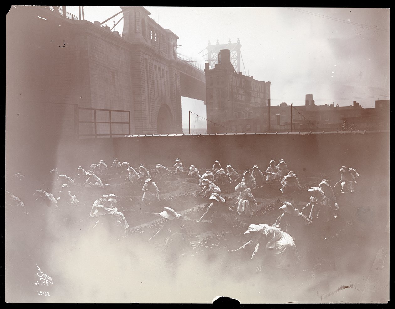 Filles travaillant sur un jardin potager sur le toit, pont de Manhattan visible au-delà, New York, 1910 - Byron Company