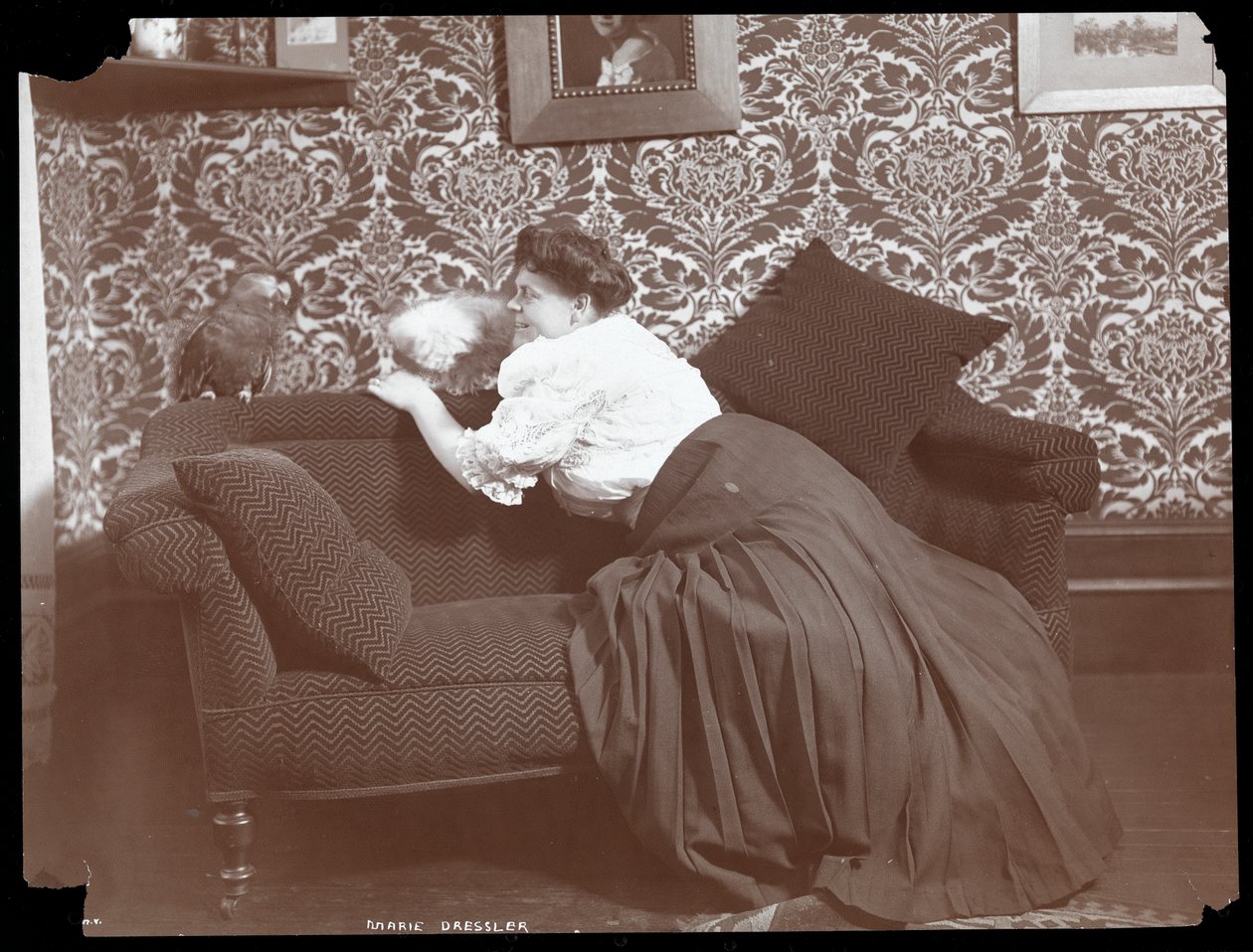 Marie Dressler chez elle avec chien et perroquet, 1905 - Byron Company