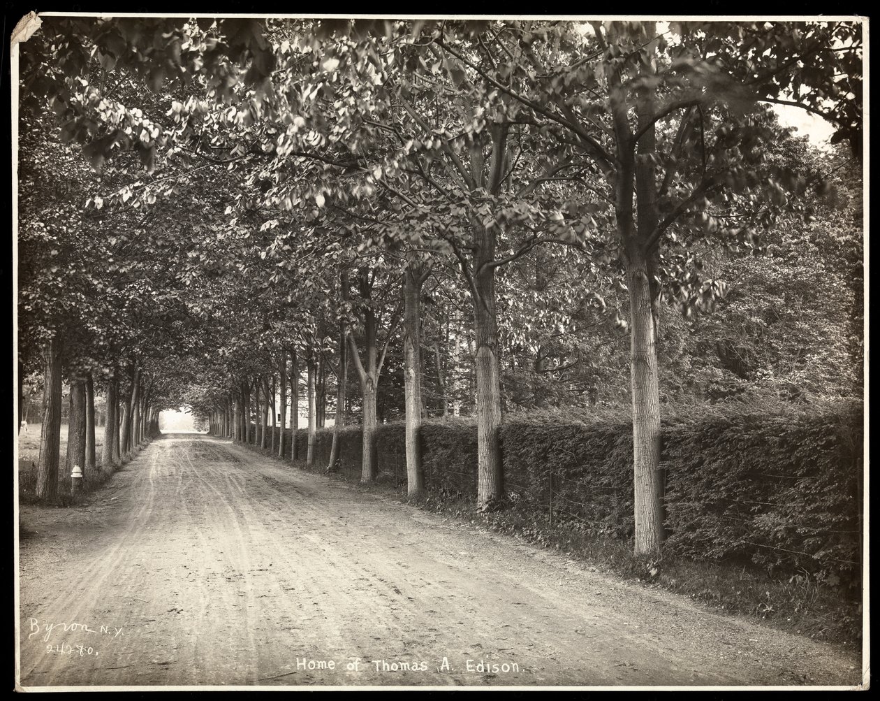 Allée bordée d