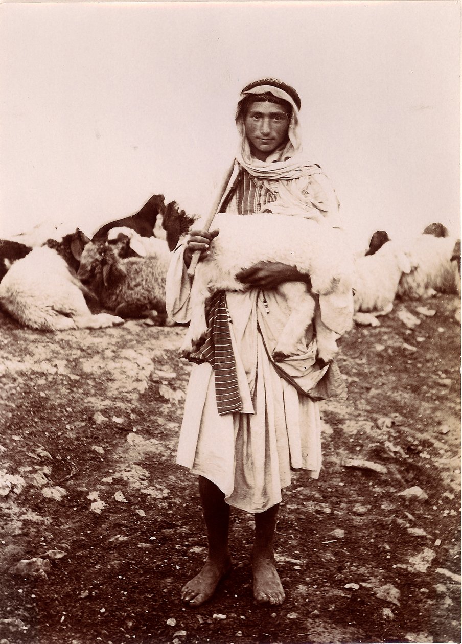 Un berger portant un agneau, c.1894-1914 - C.A. Hornstein