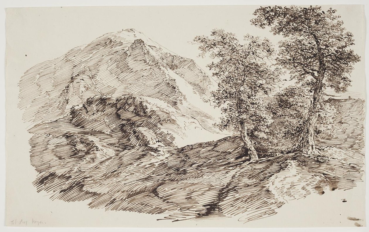 Paysage de montagne avec arbres - C.F. von Rumohr