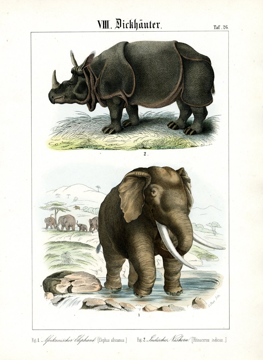 Éléphant d