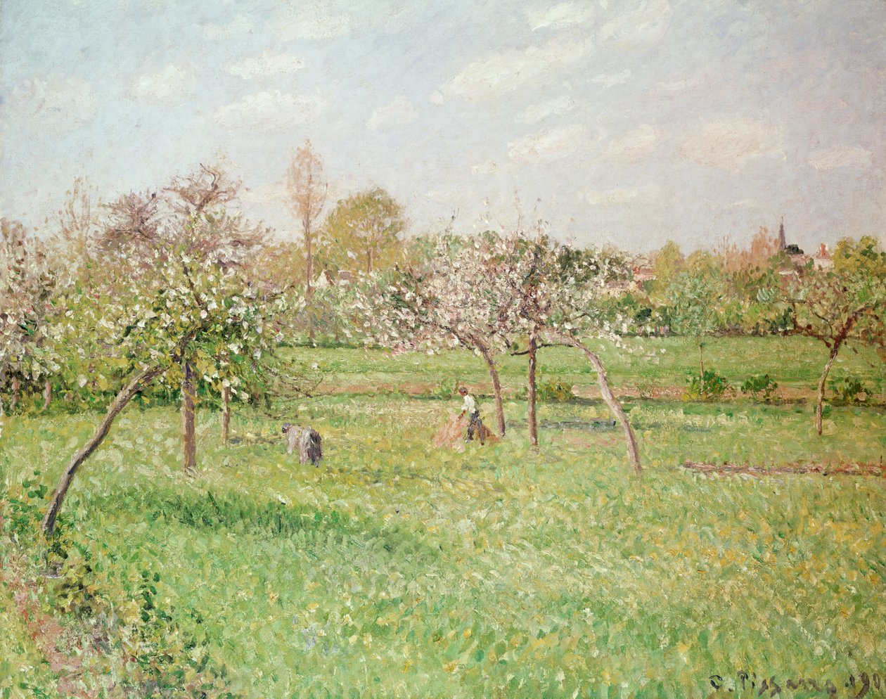 Pommiers à Gragny, soleil de l