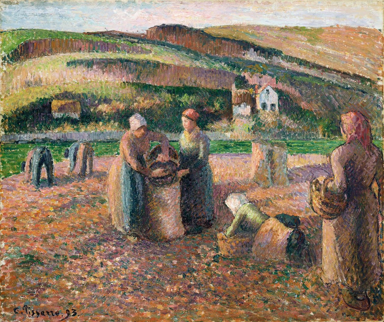 Récolte de pommes de terre - Camille Jacob Pissarro