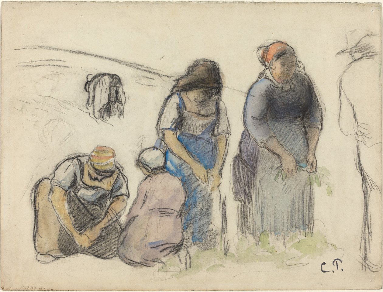 Récolteurs de pois [recto] - Camille Pissarro