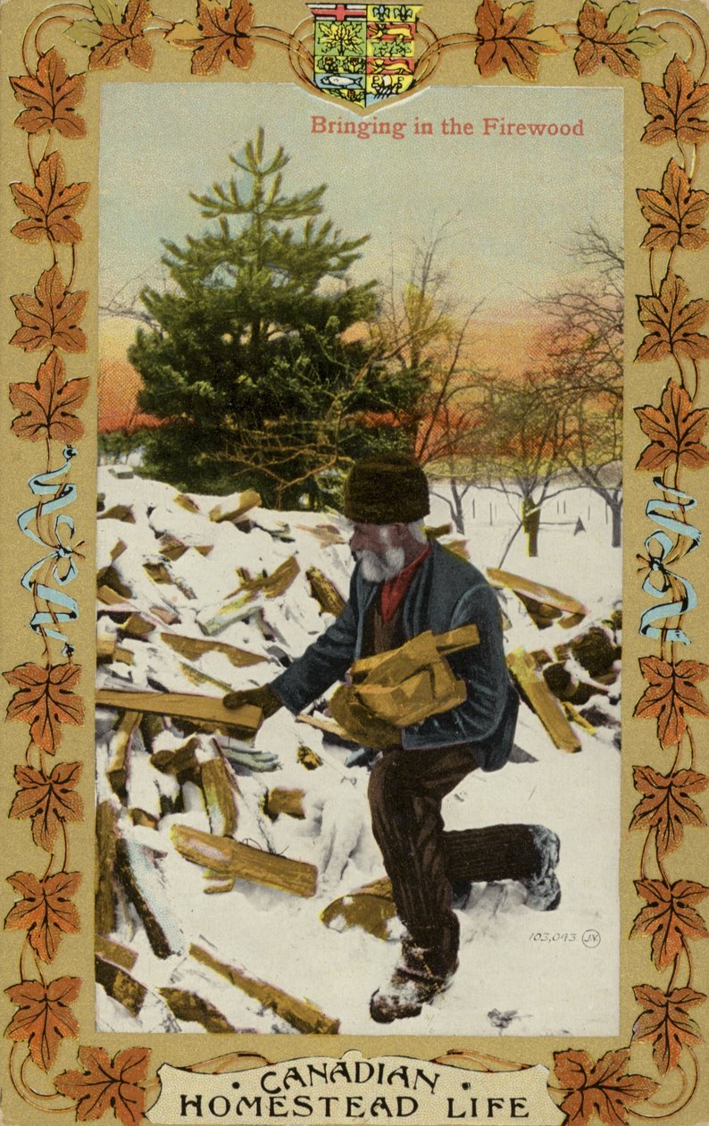 Canadian Homestead Life - Rentrer le bois de chauffage (photo) - Canadian Photographer
