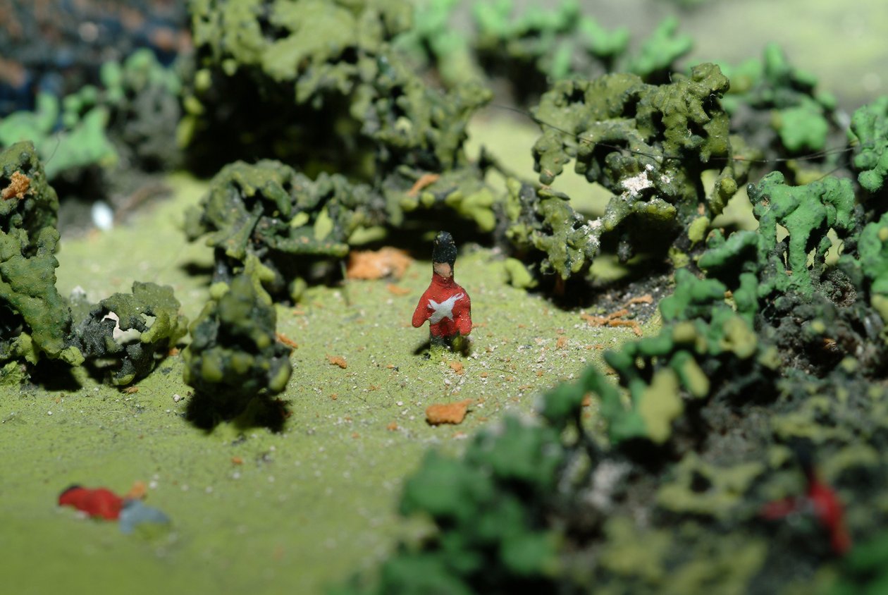 Diorama de la Bataille de Waterloo montrant les troupes positionnées à 19h45 le 18 juin 1815 (détail) - Capt. William Siborne