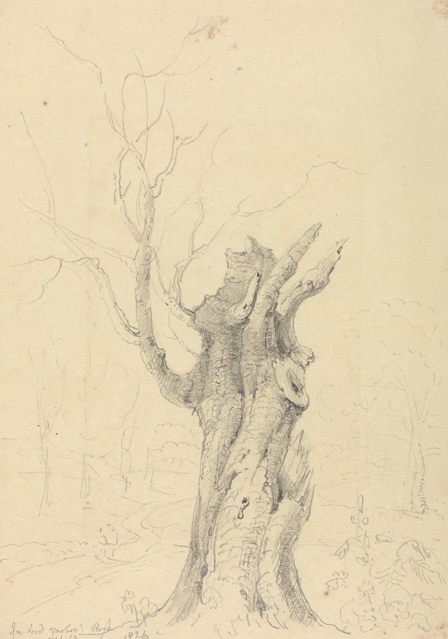 Dans le parc de Lord Yarborough, Appuldurcombe, Île de Wight - Capt. Thomas Hastings