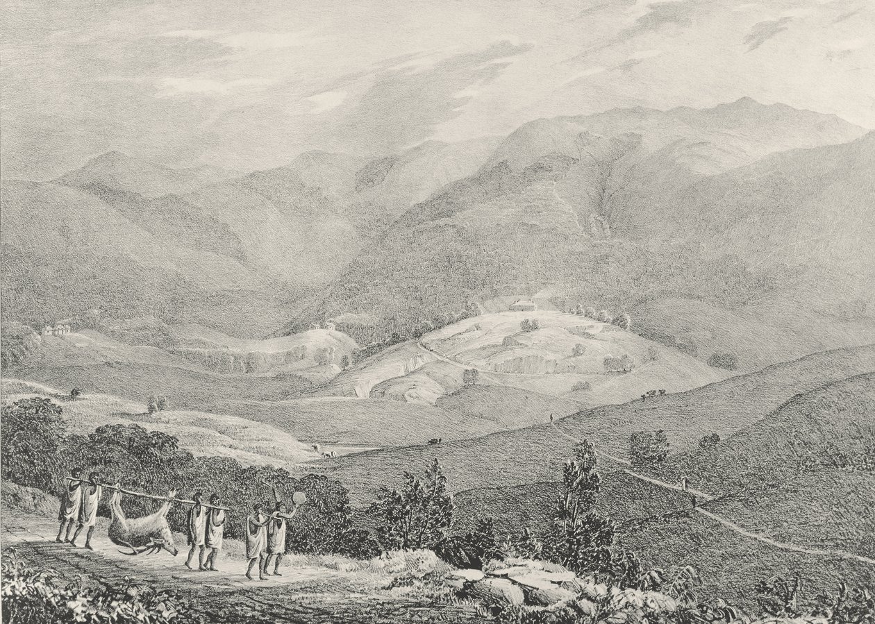 Ottacamund, vue du Grand Dodabetta, montagnes de Neelgherry, planche 4 de 