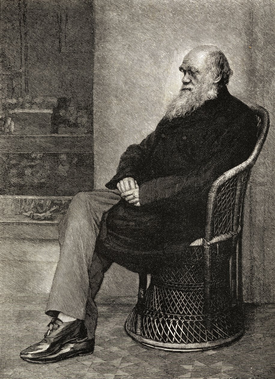 Charles Darwin, illustration de 