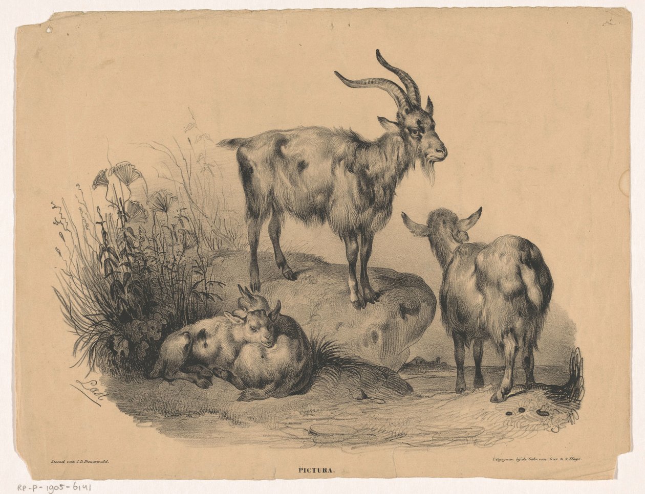 Quatre chèvres - Carel Christiaan Antony Last