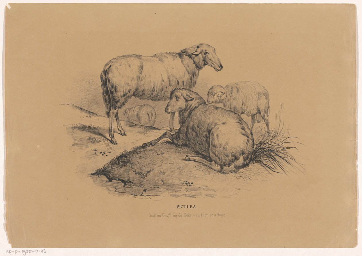 Quatre moutons - Carel Christiaan Antony Last