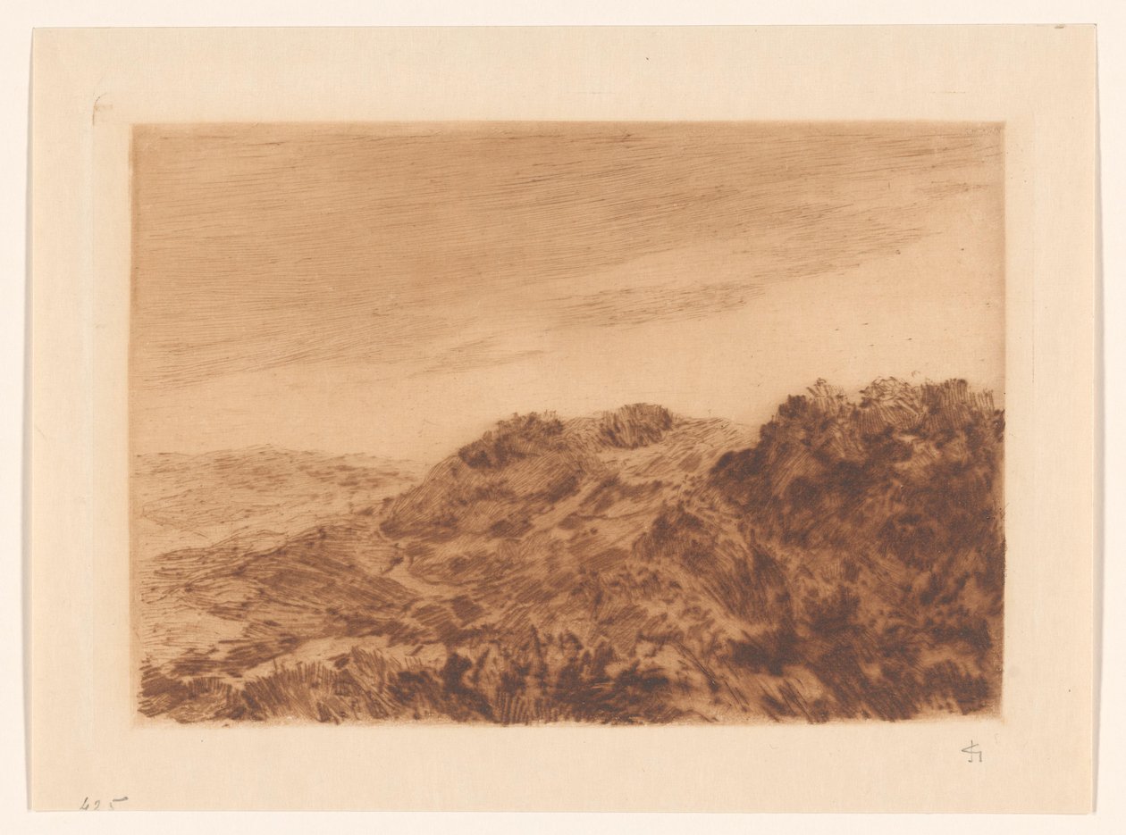 Paysage de dunes près de La Haye - Carel Nicolaas Storm van 