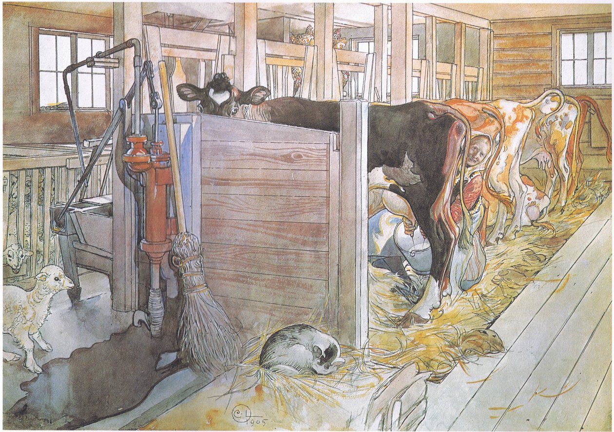 Johana trayant les vaches - Carl Larsson