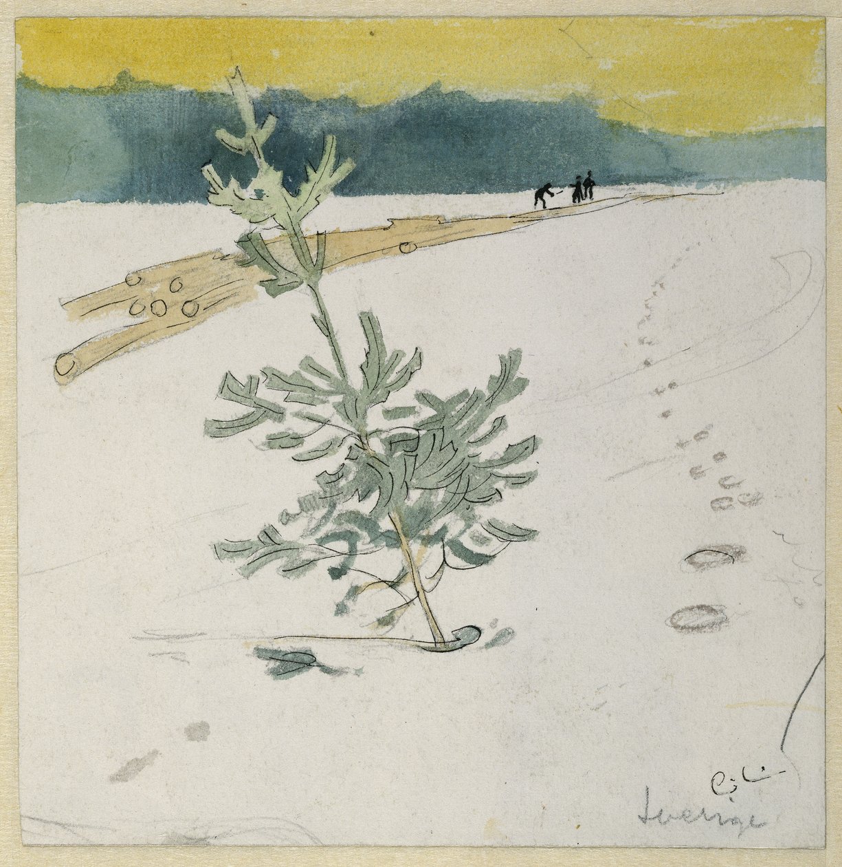 Paysage d