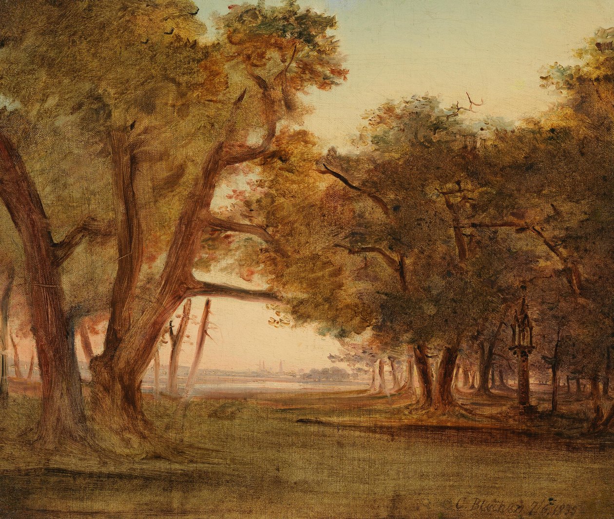 Paysage forestier à l