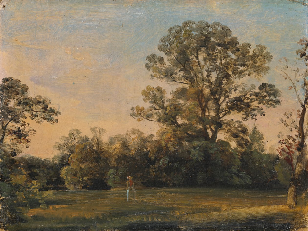 Paysage forestier avec château sur l