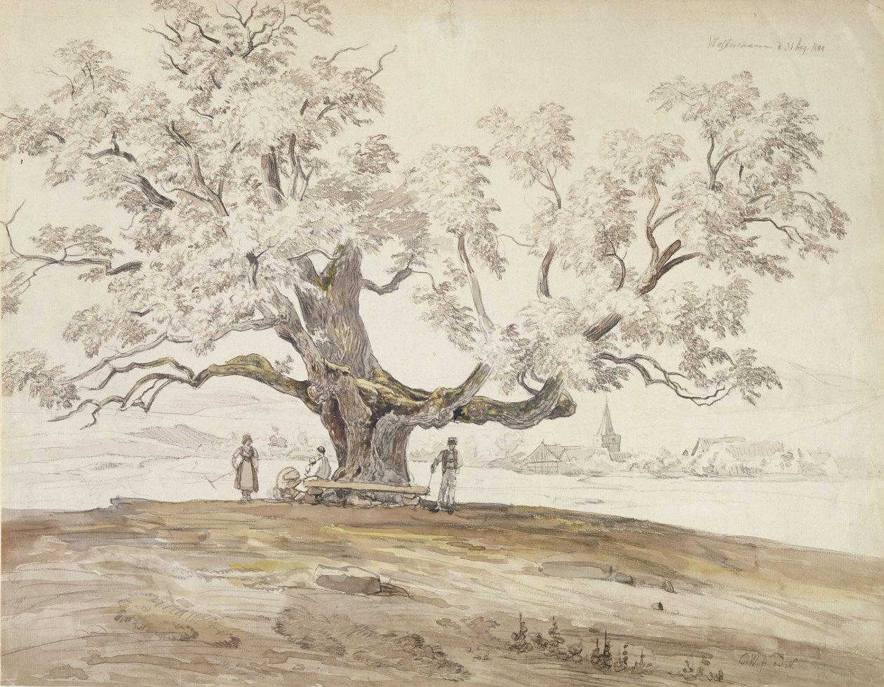 Vue de Wolfershausen bei Meiningen avec un vieux chêne, 1844 - Carl Ernst Ludwig Wagner