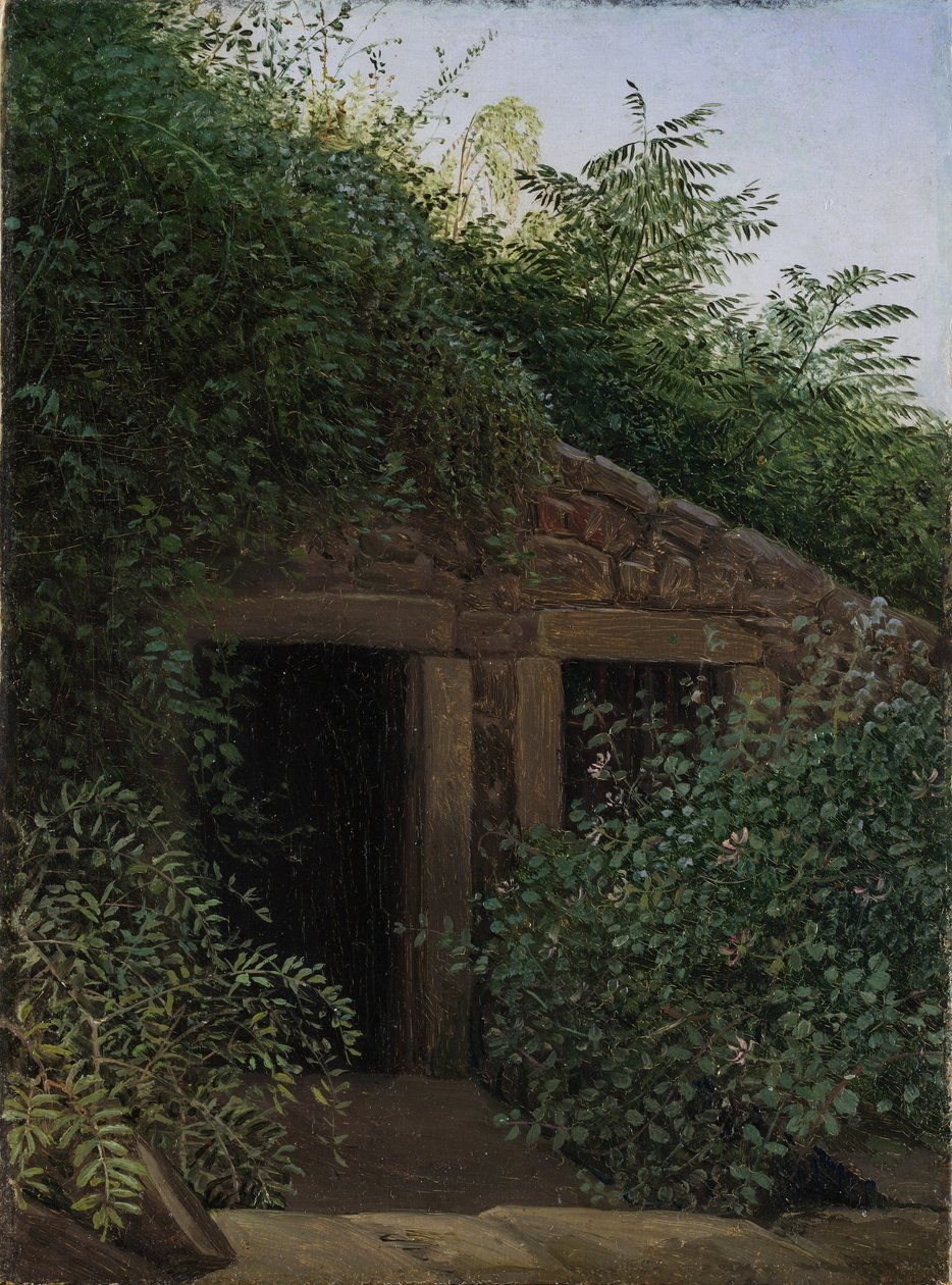 Un puits de mine envahi par la végétation - Carl Gustav Carus