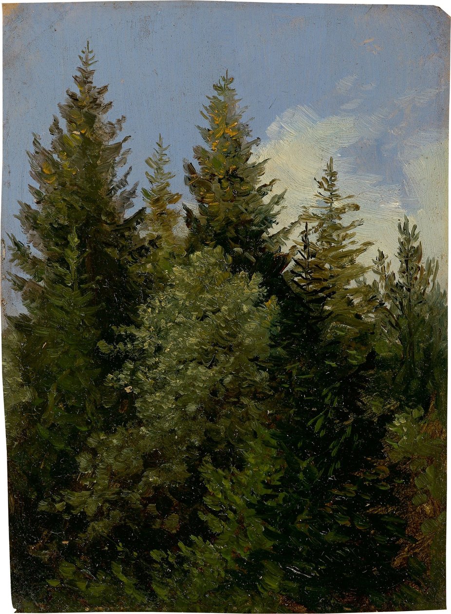 Sapins - Carl Gustav Carus