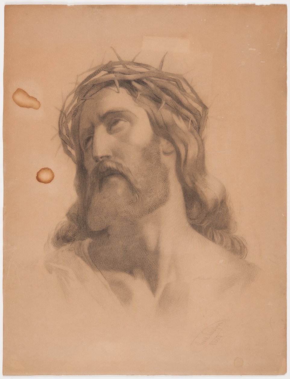 Tête du Christ couronnée d