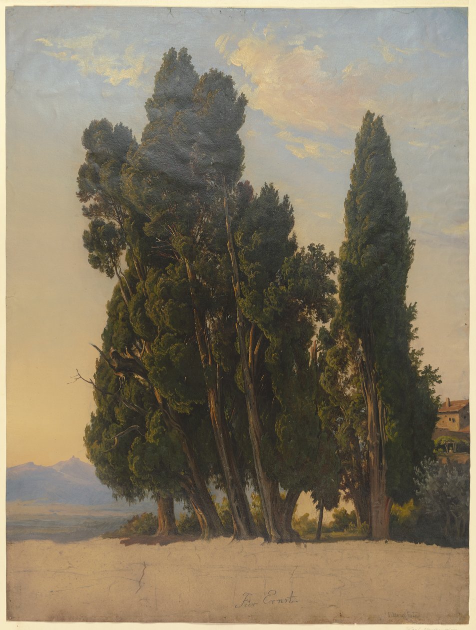 Cyprès dans le parc de la Villa d