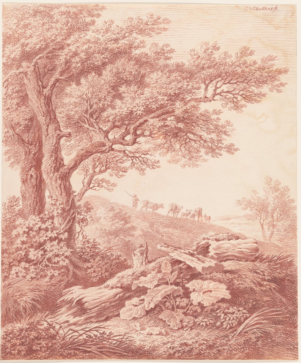 Arbres anciens dans un paysage pastoral - Carl Philipp Schallhas