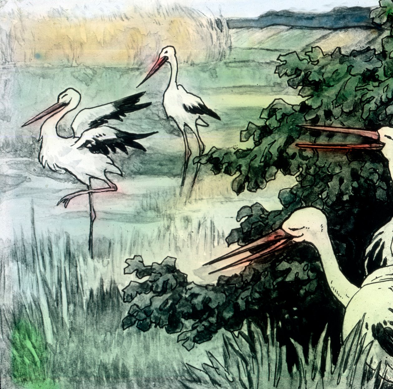 Wilhelm Hauff - Contes de fées - Le calife cigogne, vers 1910 - Carl Simon