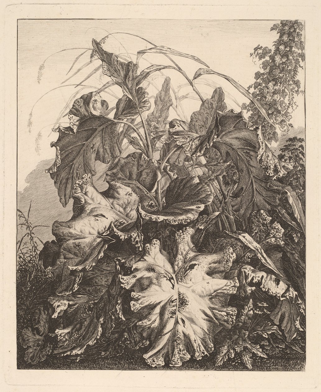 Feuillage avec roseaux - Carl Wilhelm Kolbe