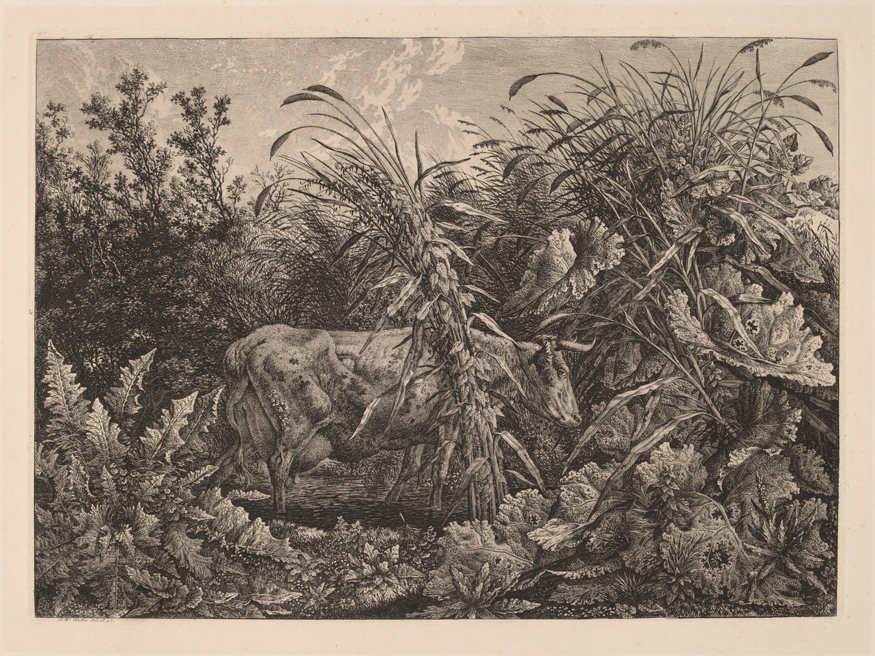La vache dans le marais - Carl Wilhelm Kolbe, the elder
