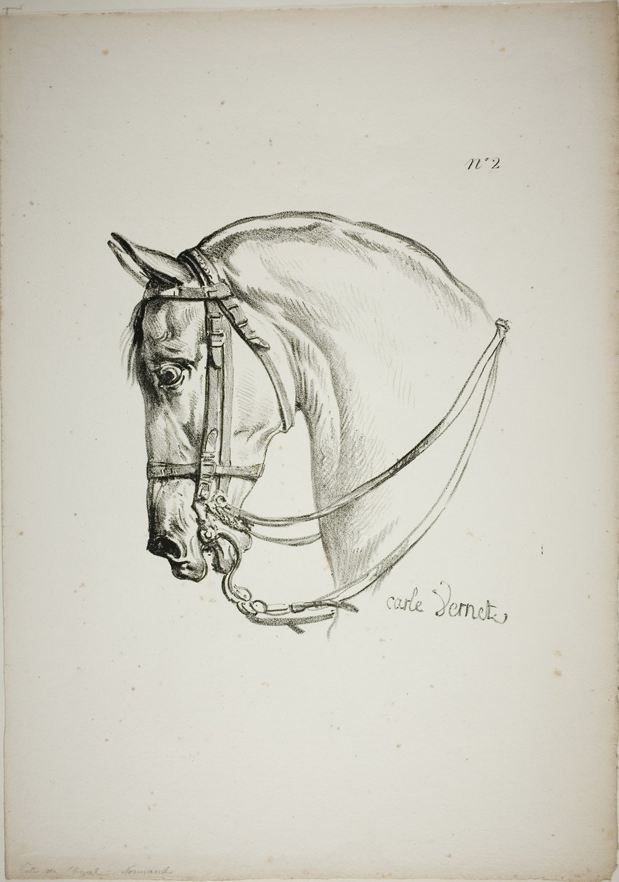 Détail de la tête de cheval, agrandie au triple, Garde royale normande, n° 2 - Carle Vernet