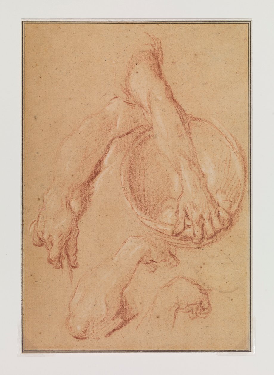 Studien eines Arms - Carle van Loo