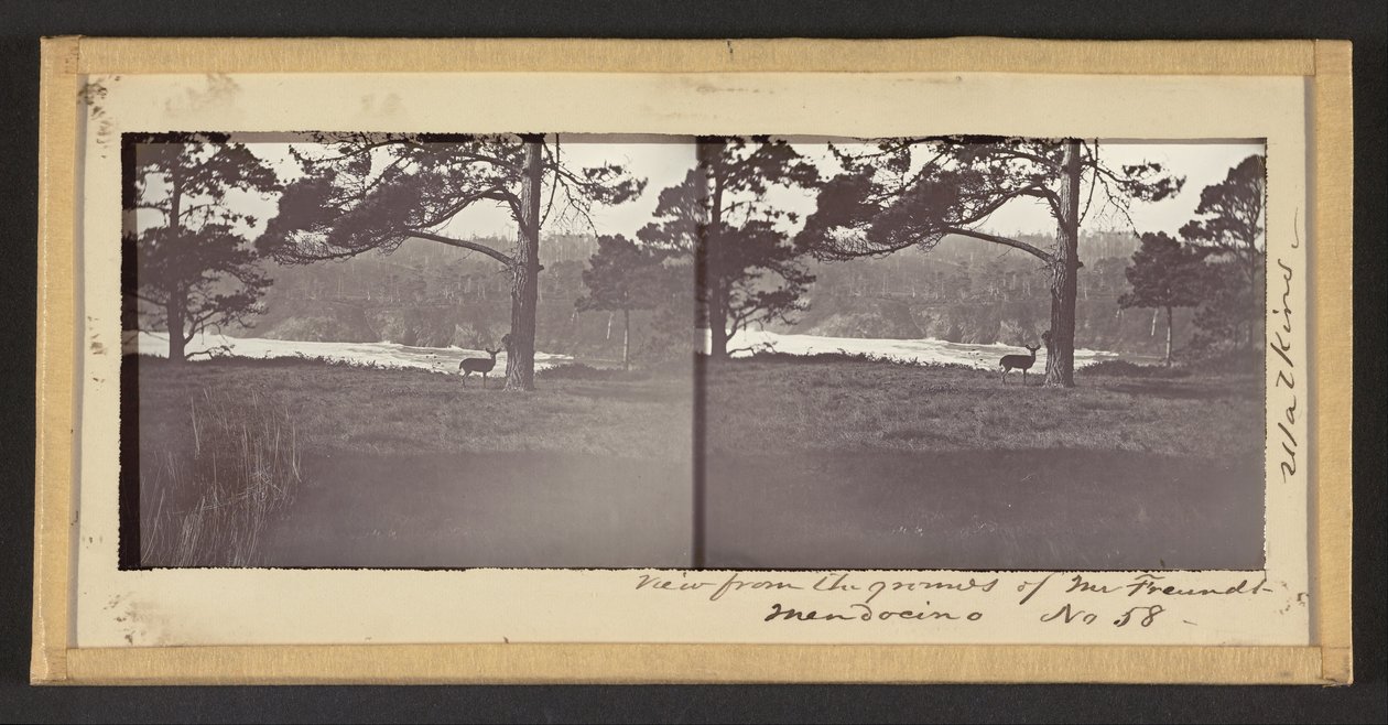 Vue depuis les terrains de M. Freundt, Mendocino - Carleton E. Watkins