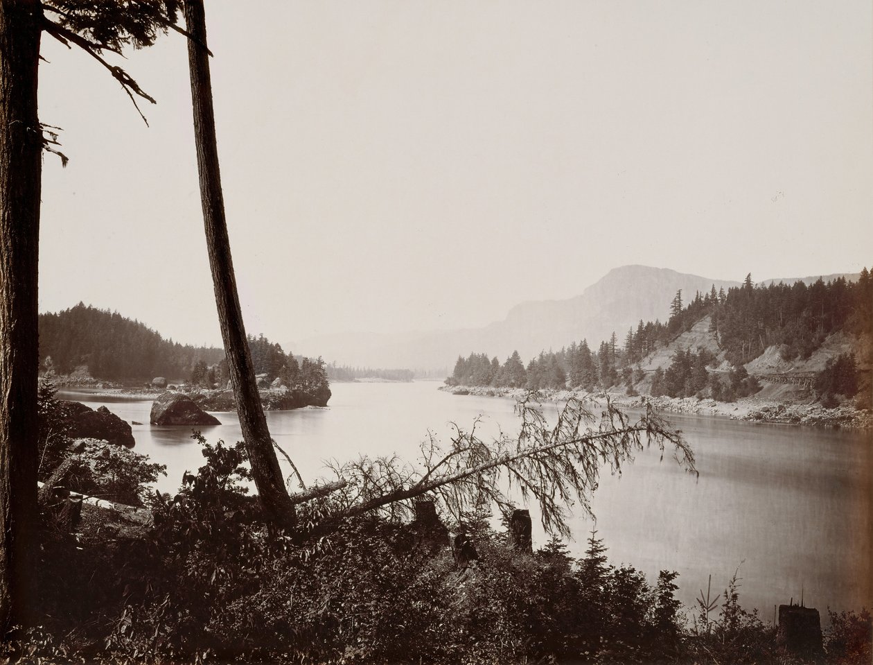 Vue sur la Columbia, Cascades, 1867 - Carleton Emmons Watkins