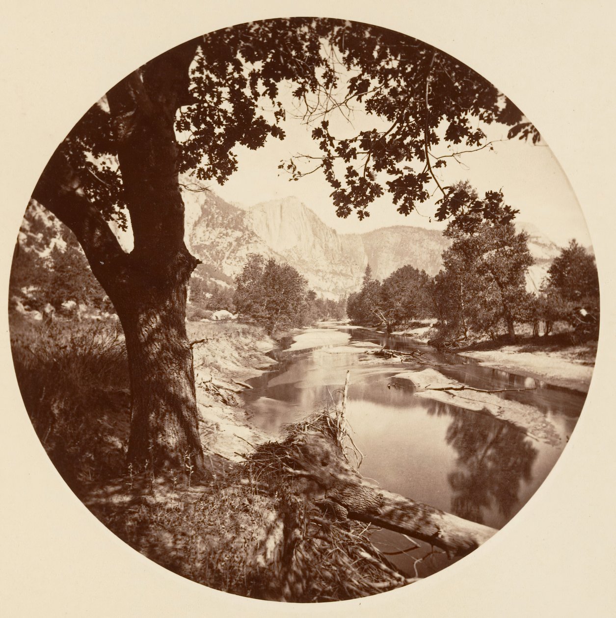 [Parc national de Yosemite, Californie] - Carleton Emmons Watkins