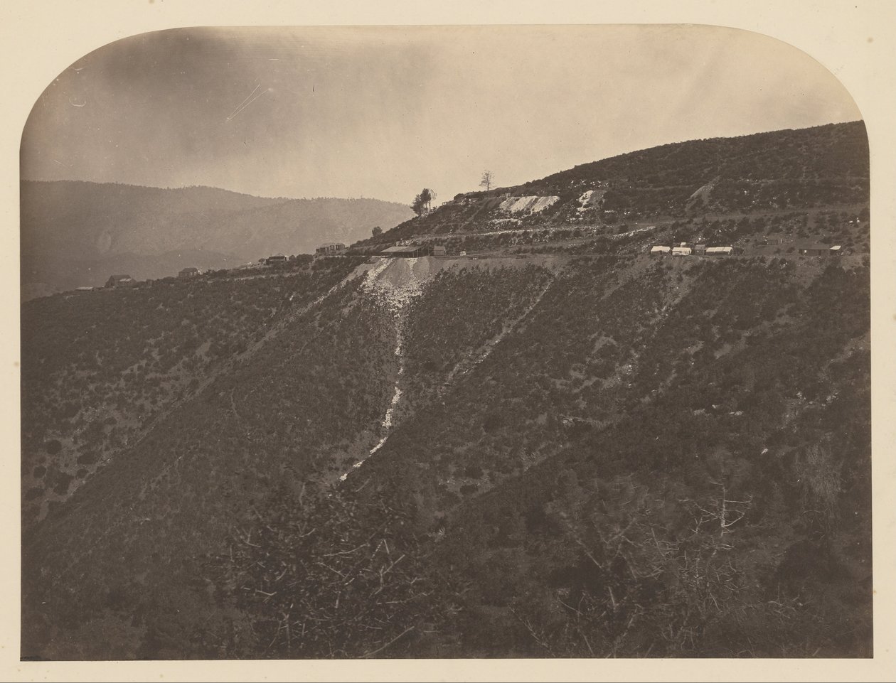 (Mine de pin) - Carleton Watkins