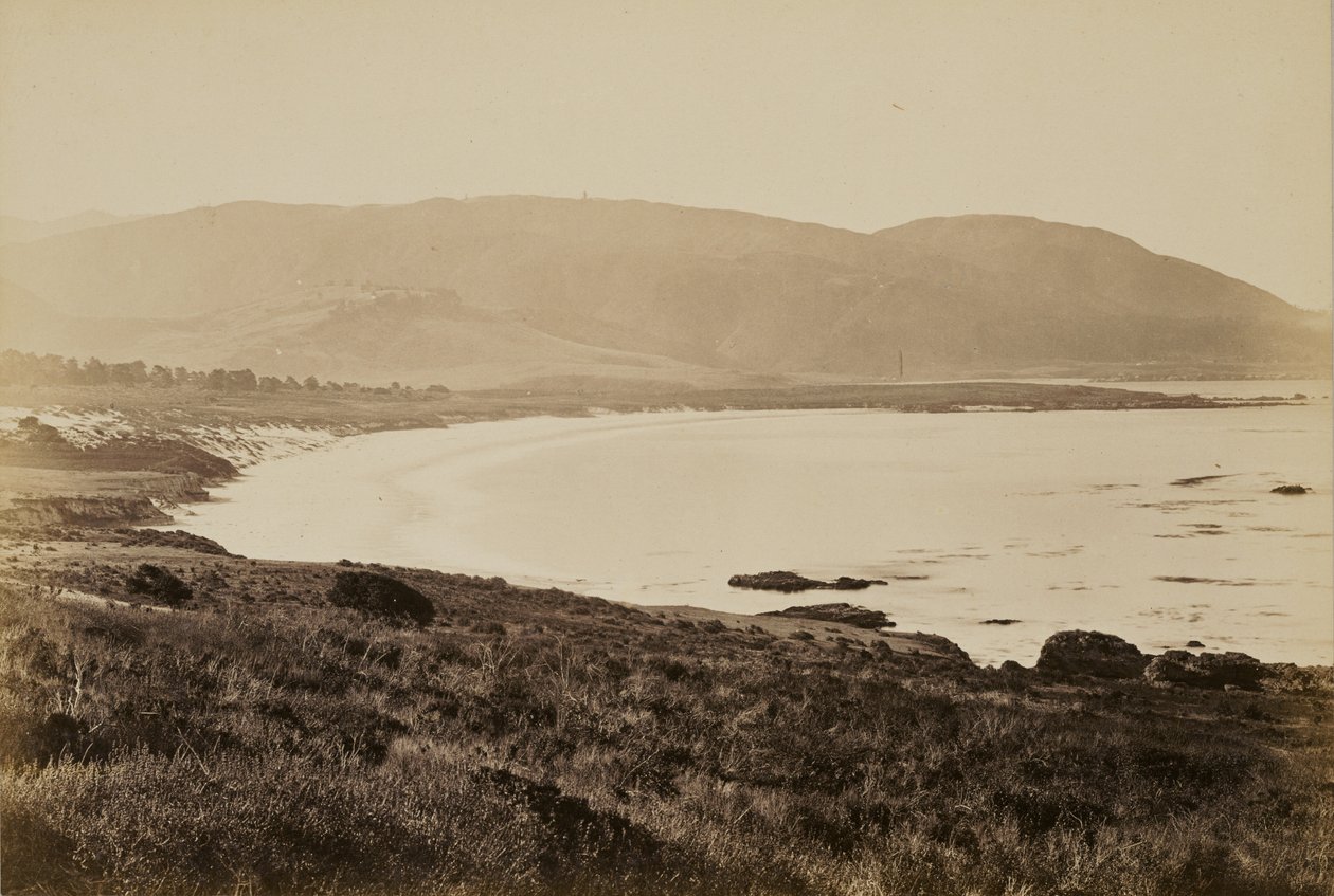 [Vue de la côte, Monterey] - Carleton Watkins