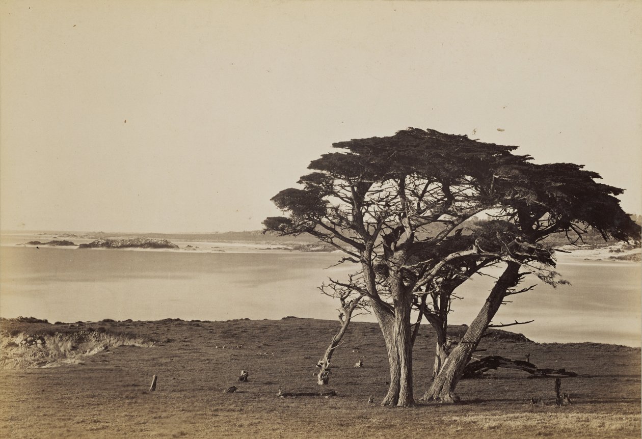 Vue de la côte près de Monterey - Carleton Watkins