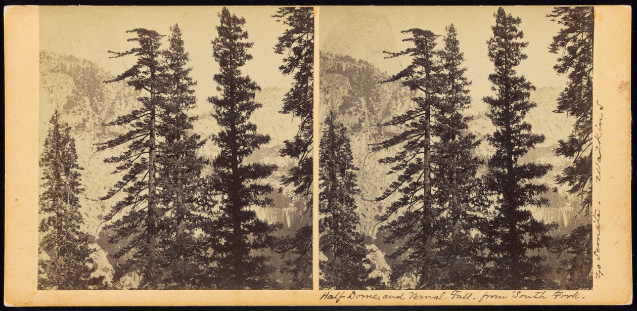 Half Dome et Vernal Fall, depuis South Fork - Carleton Watkins
