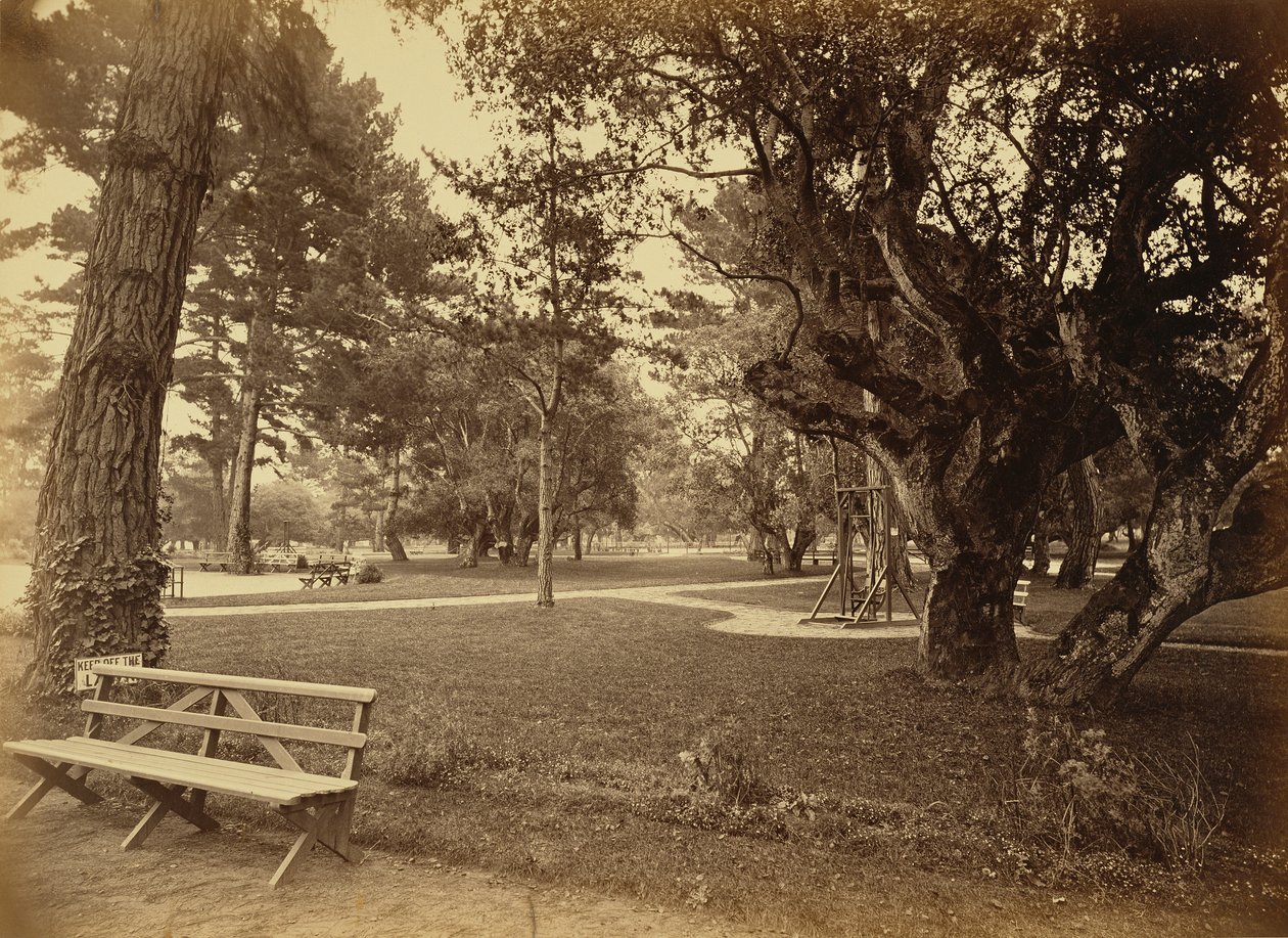 [Monterey, Californie, Hôtel Del Monte, Lawn View]. - Carleton Watkins