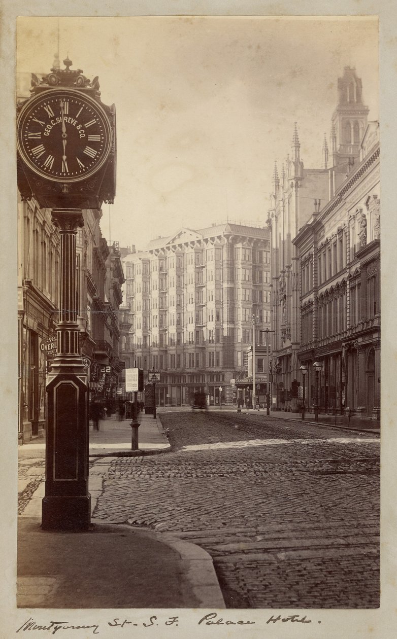 Palace Hotel, Montgomery Street, San Francisco - Carleton Watkins