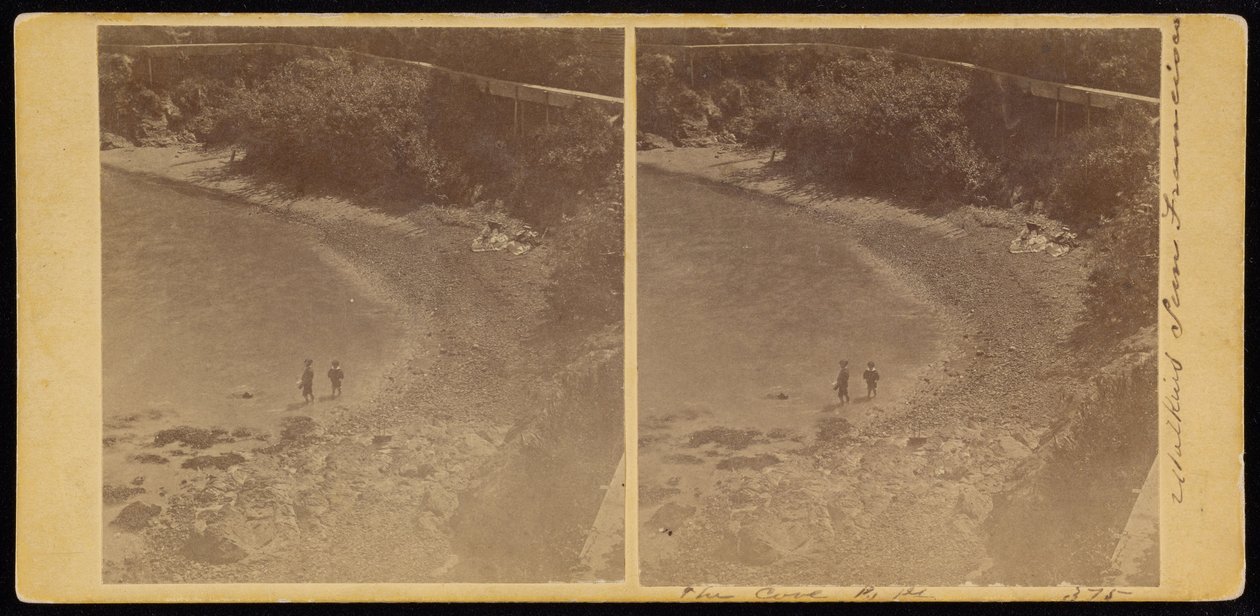 La crique, S.F - Carleton Watkins
