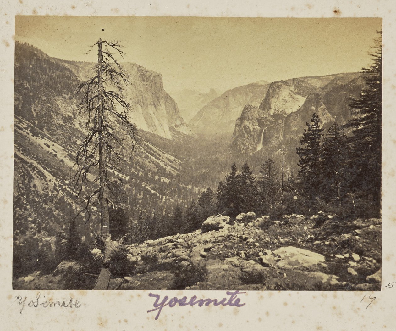La vallée de Yosemite, depuis le sentier de Mariposa, vallée de Yosemite, comté de Mariposa, Californie (n° 1138) - Carleton Watkins