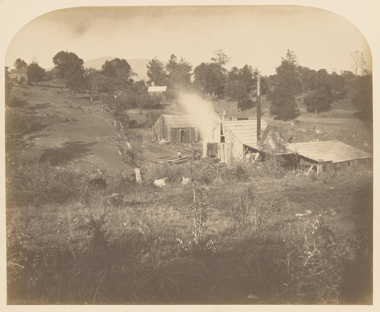 [Le moulin de Turner] - Carleton Watkins