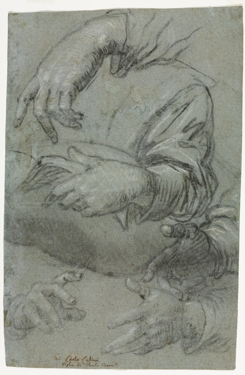 Études de mains recto, vers 1586 - Carletto Caliari
