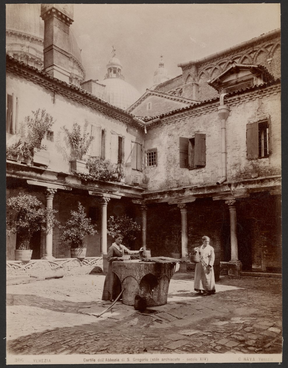 Cour de l