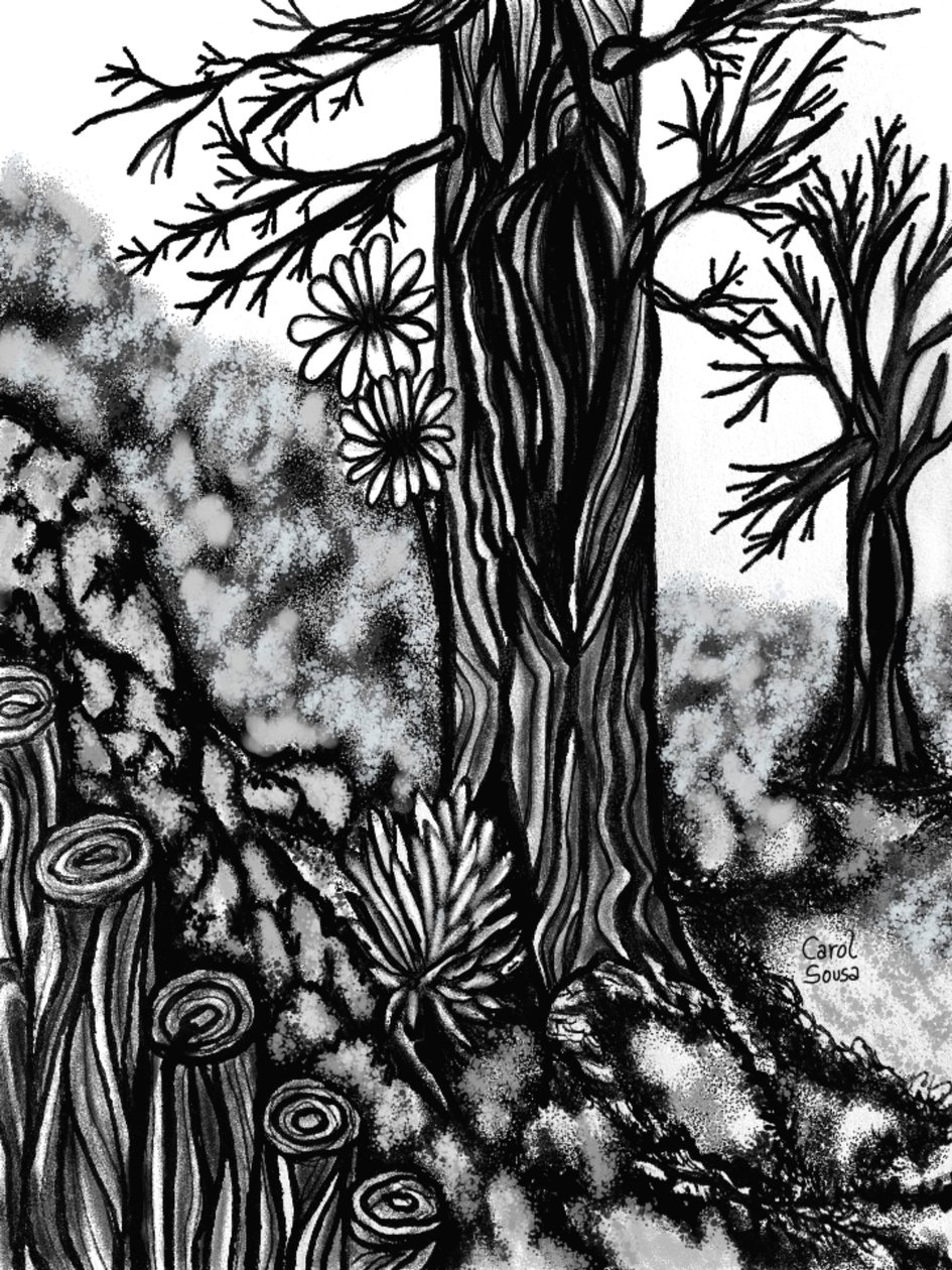 Dessin au fusain numérique 1 - Carol Sousa Cuello