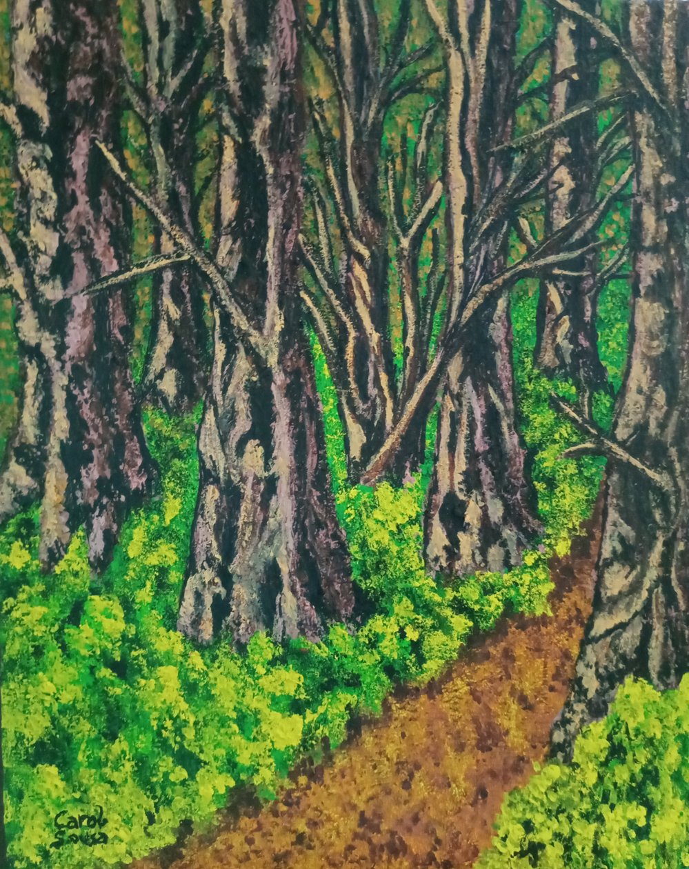 Sentier dans la forêt - Carol Sousa Cuello